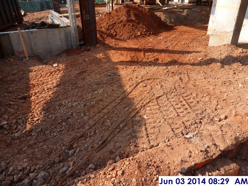 Compacted area where the underground conduit is located for the temporary power Facing South-West  (800x600)